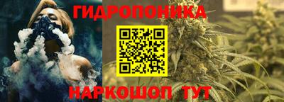 шишки Сланцы