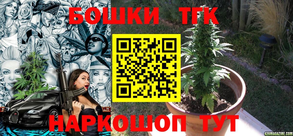Бошки Шишки планчик Пушкино